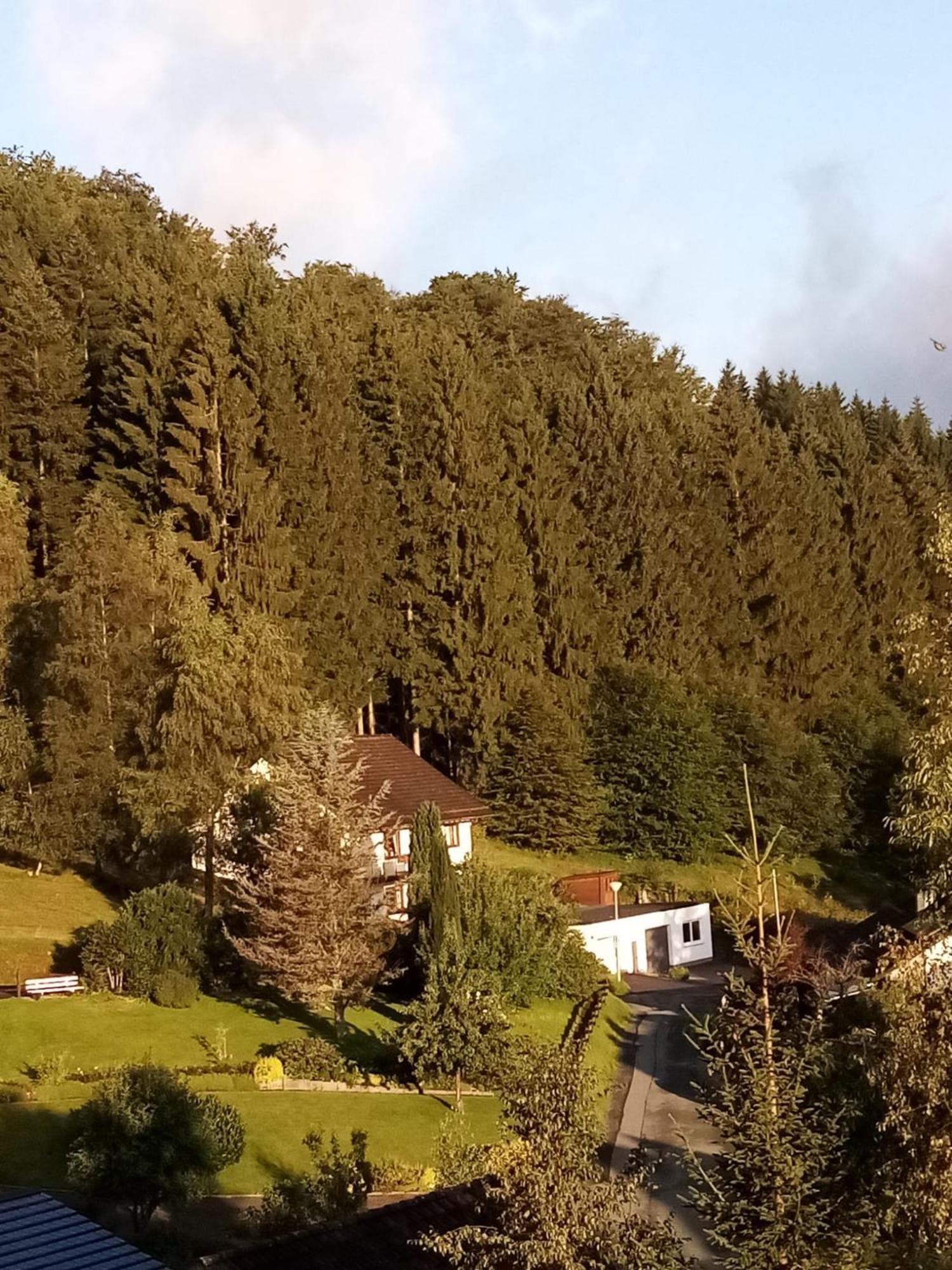 Appartement Rehsiepen *