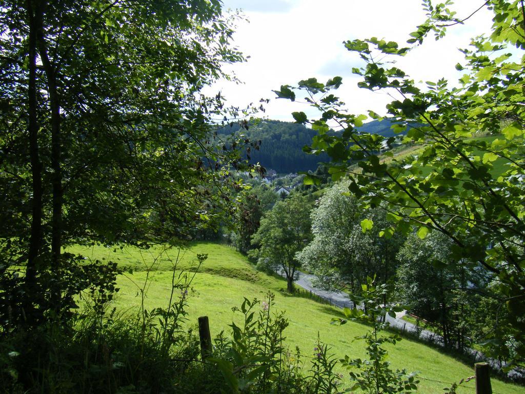 Rehsiepen Appartement Schmallenberg